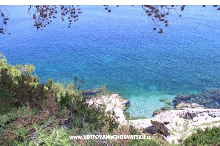 Apartment Franica – photo 9