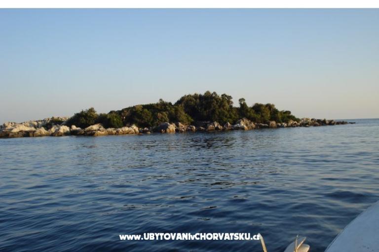 Apartments Rašica – photo 11