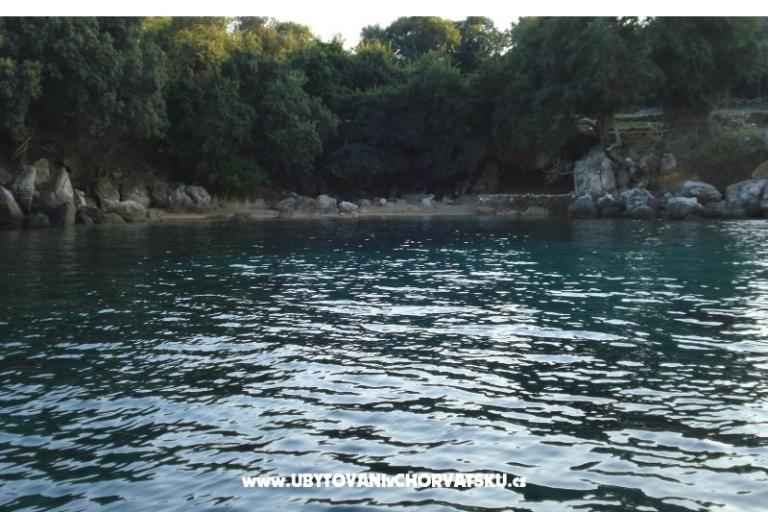 Apartments Rašica – photo 12