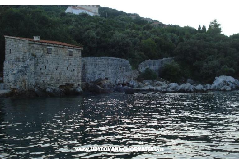 Apartments Rašica – photo 14