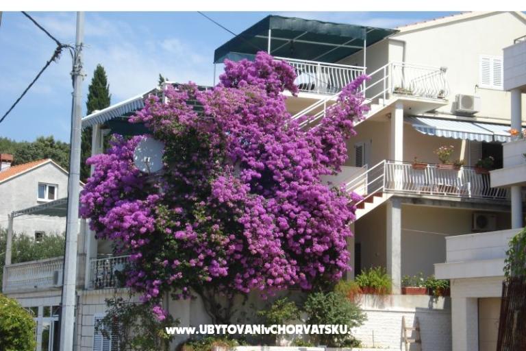 Apartments Rašica – photo 2