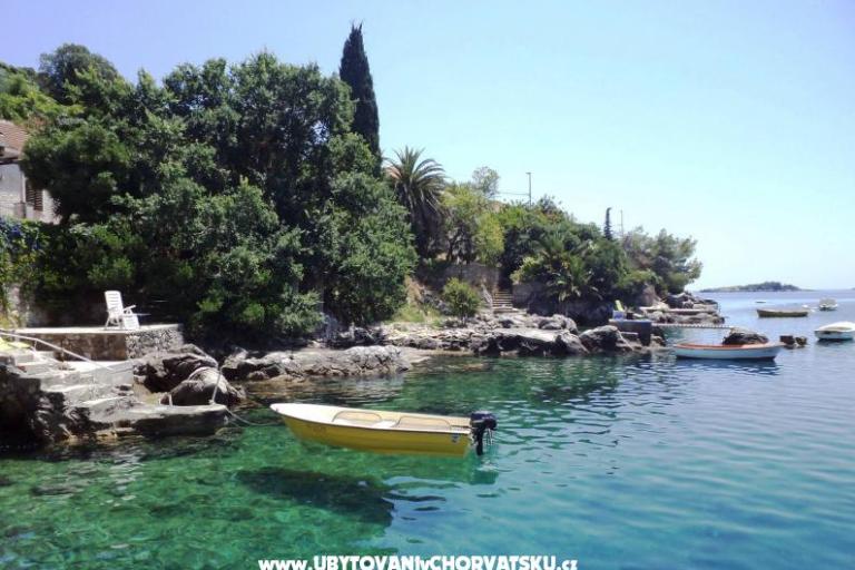 Apartments Villa Riva Molunat – photo 8