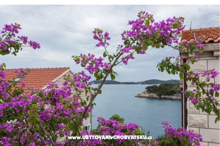 Villa Amica – photo 29