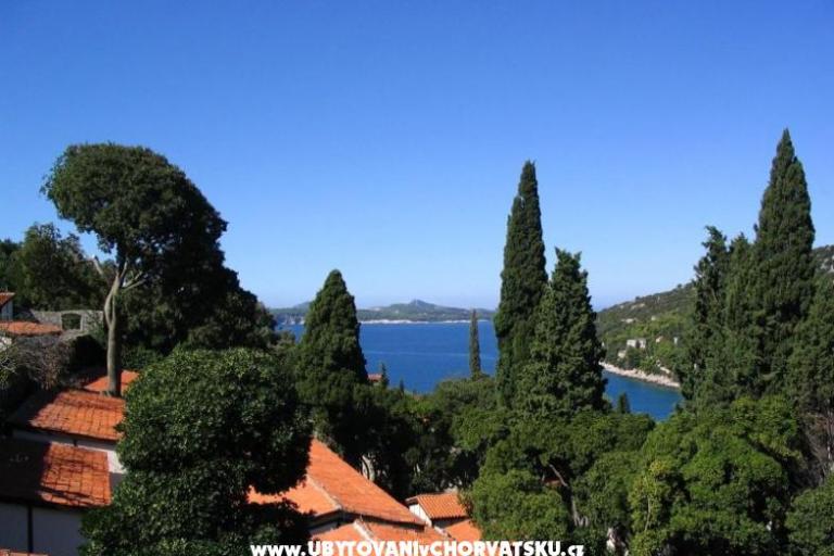 Villa Rašica d.o.o. – photo 4