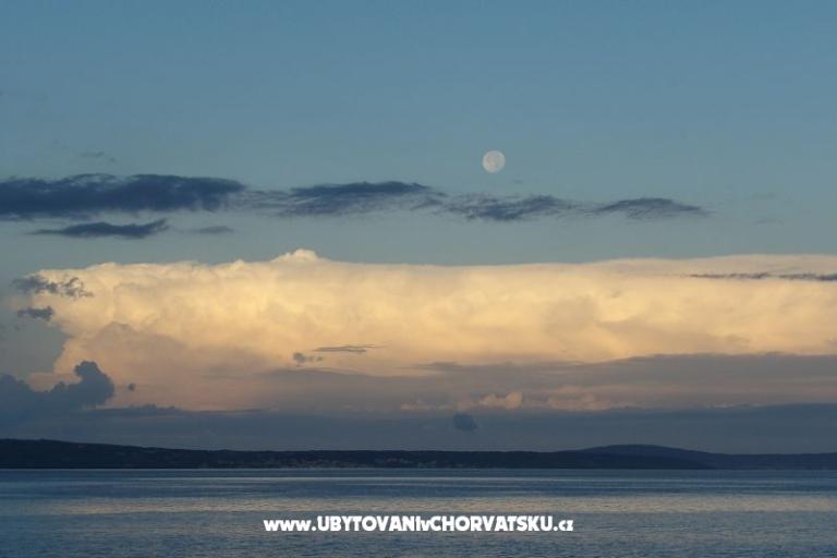 Apartments Zemunik – photo 9