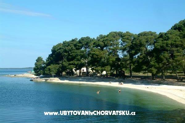 Apartment Buzleta – photo 3