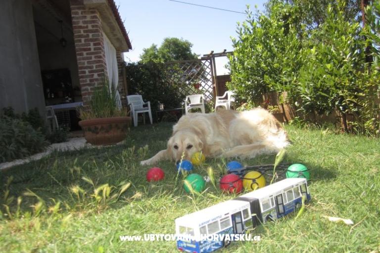 Apartment Flora – photo 14