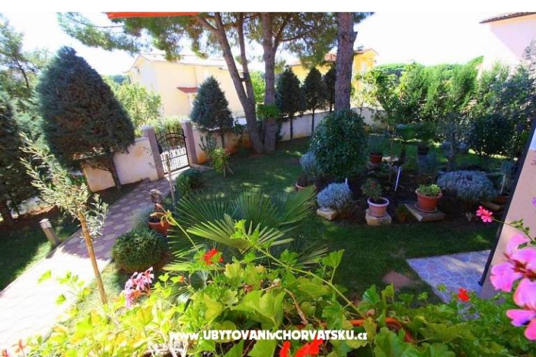 Apartment Jeromela *** – photo 3