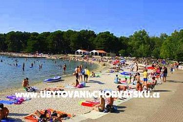 Apartment Zoran - Valbandon  – photo 16