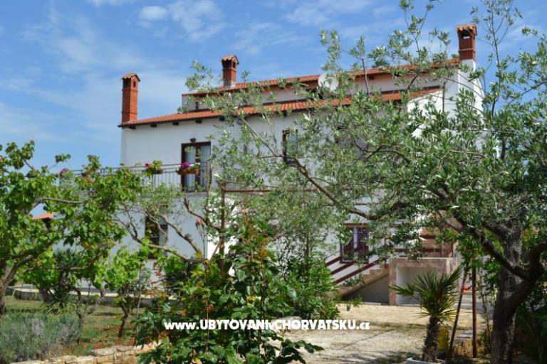 Vila Nona Ivka – photo 3