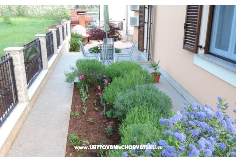 Villa Pineta – photo 12