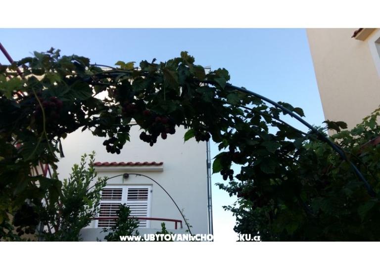 Apartments Matej – photo 14