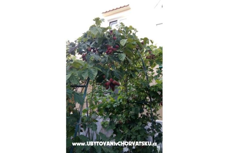 Apartments Matej – photo 5