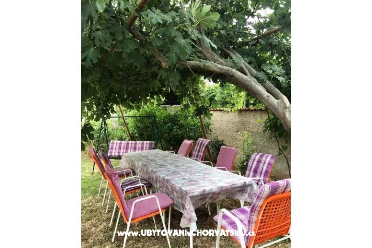 Apartments Andjelka &amp; Jure – photo 13