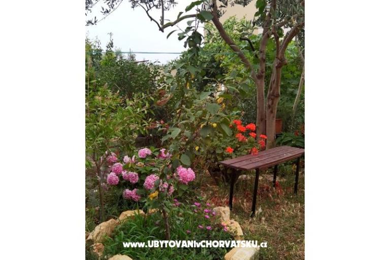 Apartments Andjelka &amp; Jure – photo 8