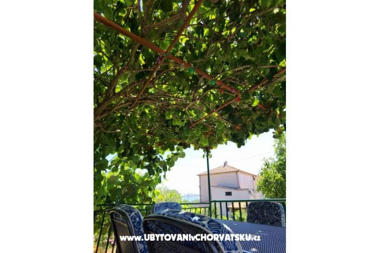 Apartments Andjelka &amp; Jure – photo 9