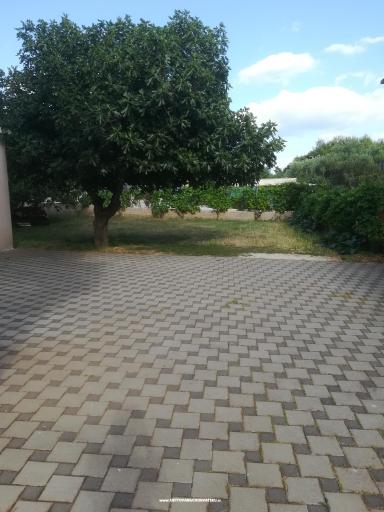 Apartments Colić – photo 3