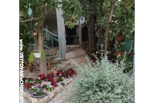 Apartments Ela – photo 17