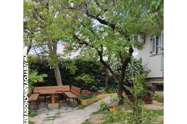 Apartments Ela – photo 3