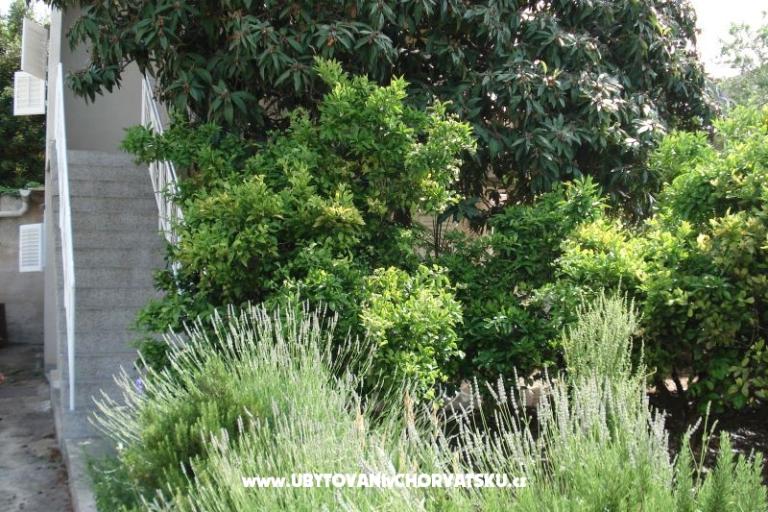 Apartments Jadra  – photo 9