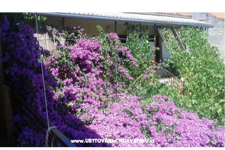 Apartments Liđa – photo 4