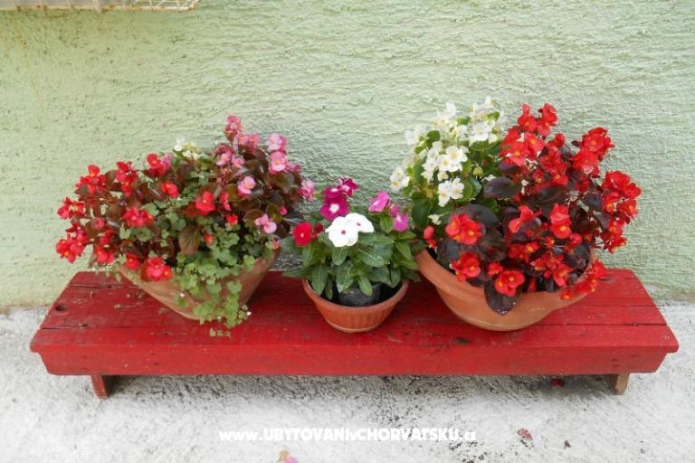 Apartments Mirjana – photo 12
