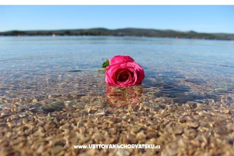 Beach House Amarella – photo 14