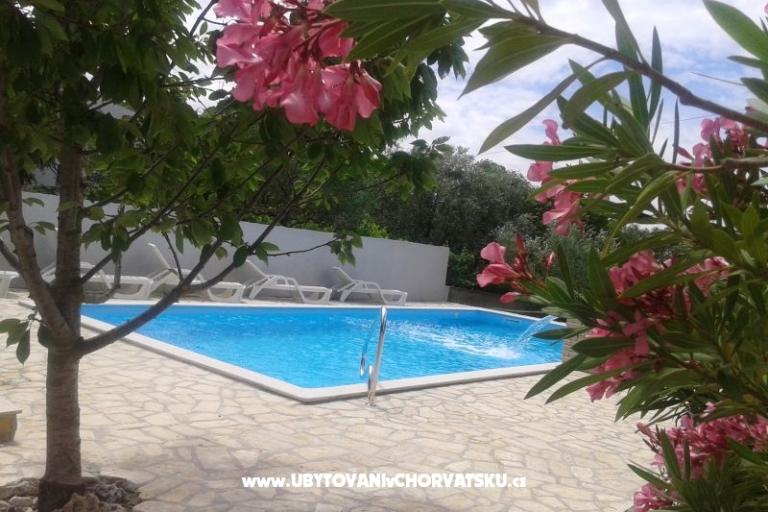 Dva labuda – photo 2