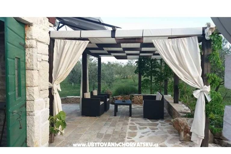 Olive Garden Paljka – photo 16