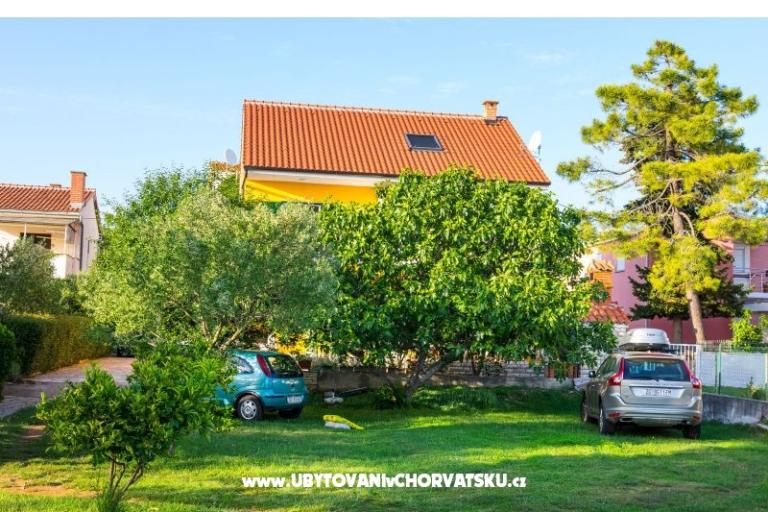 Apartments Zrilić – photo 4