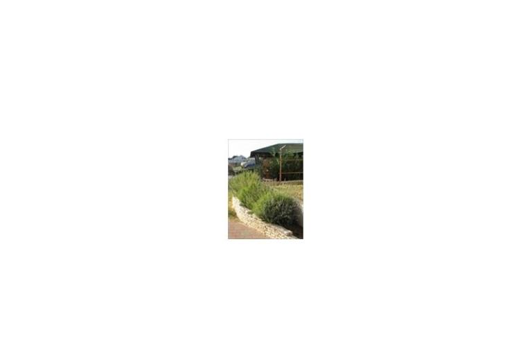 Villa Tri Palme – photo 17