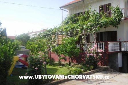 Apartments Zoran – photo 8