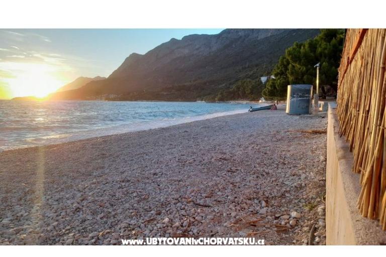 AntonBille – photo 2