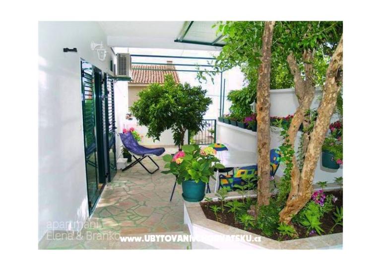 Apartments Elena  – photo 2