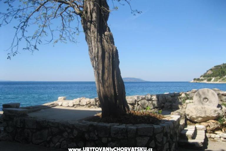 Apartment Ines – photo 9