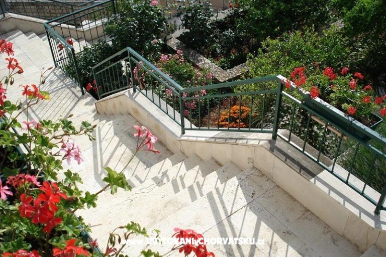 Apartments Ivana  – photo 5