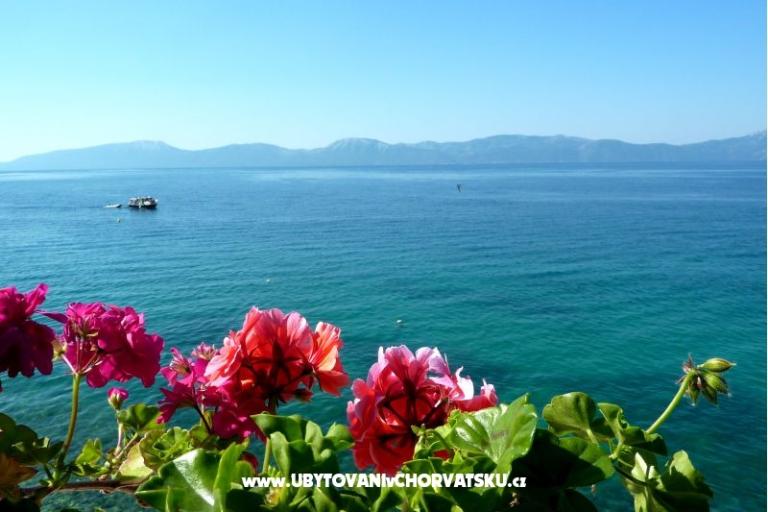 Apartments Martina – photo 16