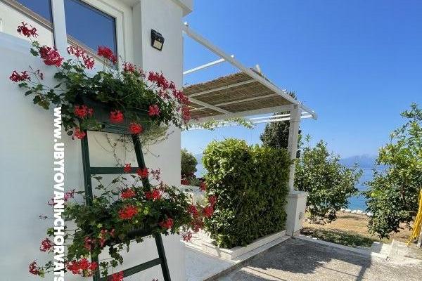 Apartments Mimoza – photo 14