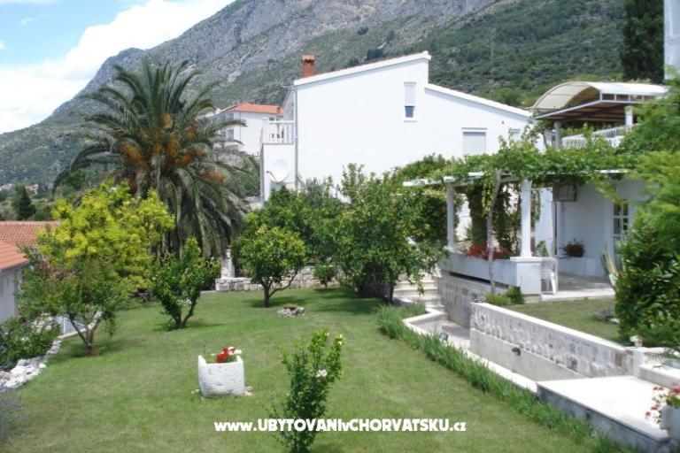 Apartments Mimoza – photo 16