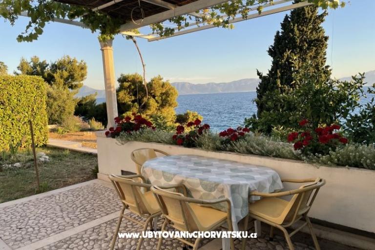 Apartments Mimoza – photo 7