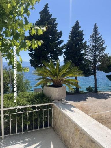 Apartments NIKOLA – photo 3