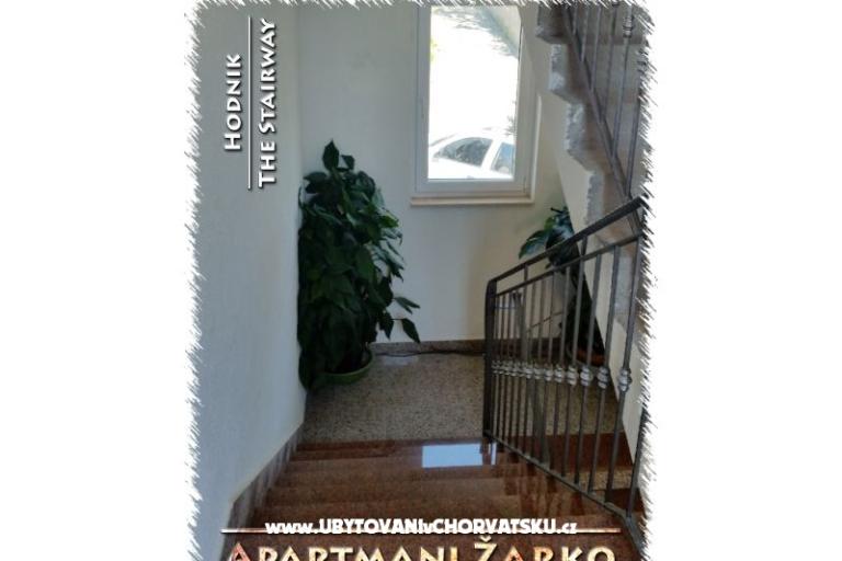 Apartments Žarko – photo 15