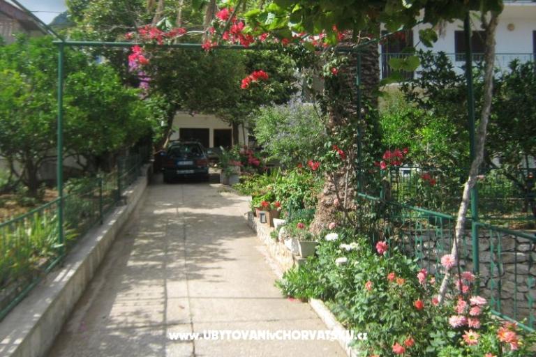 Apartment Visko – photo 3