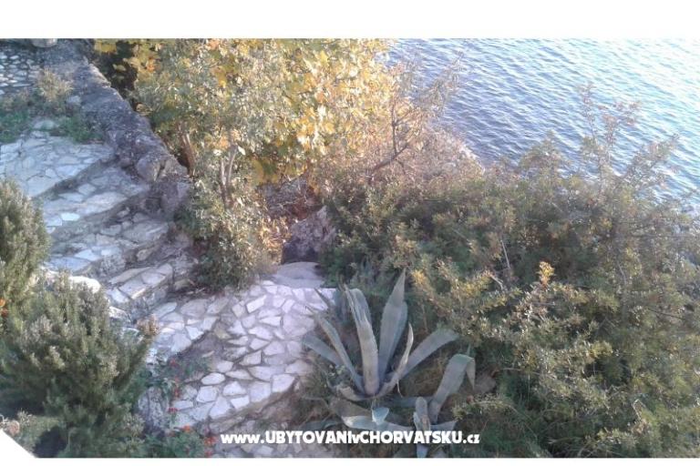 Dijana Beach House – photo 7