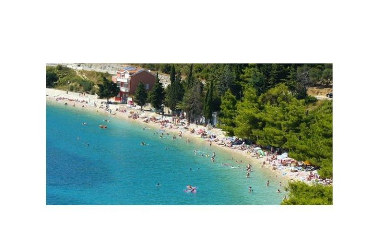 Goga – photo 15