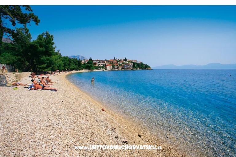 Goga – photo 18