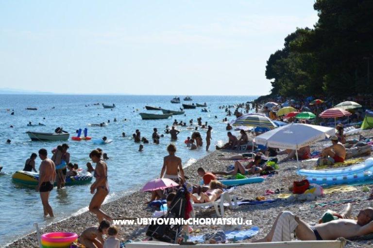 Goga – photo 7
