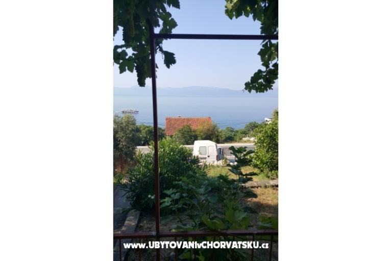 House Maslina – photo 4