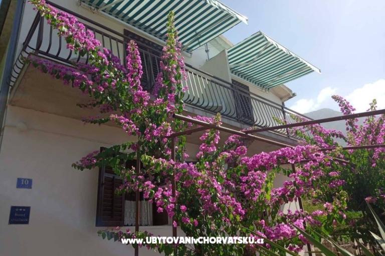 House Miošić Apartments  – photo 4