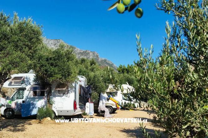 Mini Camp Podaca – photo 5